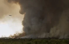 Fogo avança e queima 700 hectares do Parque Nacional de Brasília