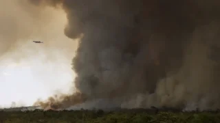 Fogo avança e queima 700 hectares do Parque Nacional de Brasília