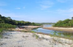 Museu do Seringal fecha para visitação em virtude da severa estiagem que afeta o Amazonas