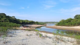 Museu do Seringal fecha para visitação em virtude da severa estiagem que afeta o Amazonas