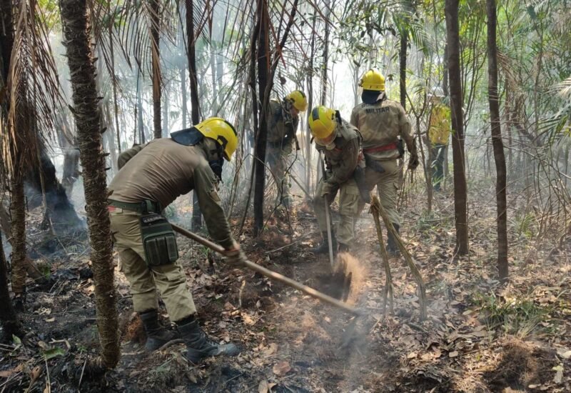 Intensificação das ações de combate aos incêndios no Amazonas (Foto: Divulgação/CBMAM) Em setembro, Corpo de Bombeiro combateu mais de 6,6 mil focos de incêndio no estado