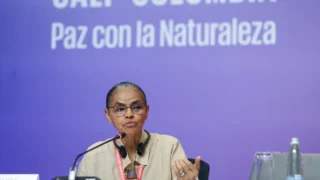 Na COP16, Marina Silva defende fundo para remunerar povos tradicionais