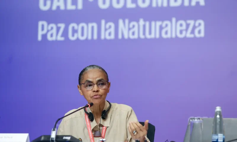 Na COP16, Marina Silva defende fundo para remunerar povos tradicionais