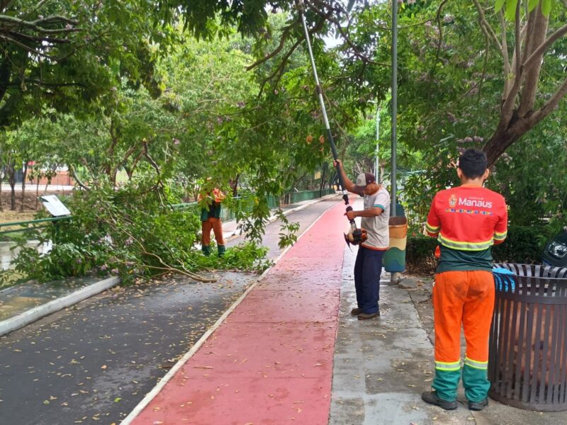 Passeio do Mindu recebe serviços de poda de árvores e limpeza