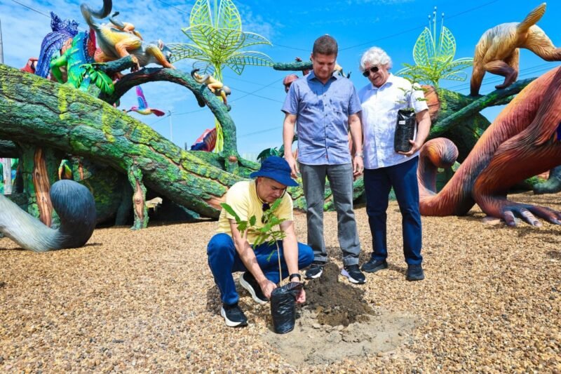 David Almeida planta muda de árvore no Gigantes da Floresta (Foto: Divulgação) Prefeito planta muda de árvore no Gigantes da Floresta e destaca importância ambiental do parque