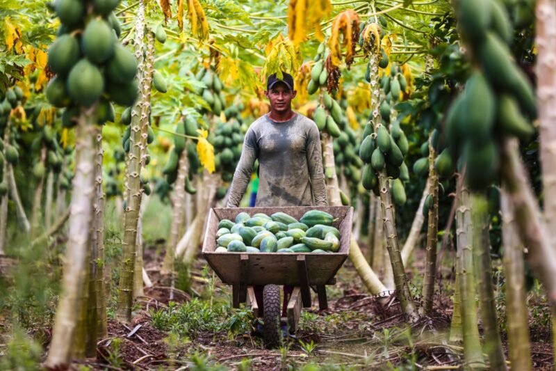 A ação visa facilitar o acesso dos agricultores ao programa (Foto: Divulgação/ADS) ADS inicia ação itinerante para credenciamento no Preme na região metropolitana de Manaus, a partir deste sábado