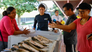 Feirão do Pescado: primeiro dia da edição especial traz ofertas e variedade de peixes