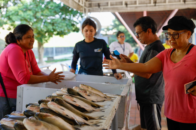 Feirão do Pescado: primeiro dia da edição especial traz ofertas e variedade de peixes