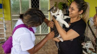 Prefeitura de Manaus amplia pontos fixos de vacinação antirrábica