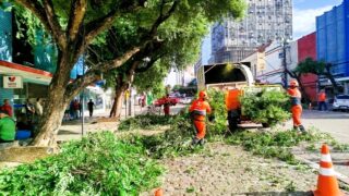 Prefeitura de Manaus realiza serviços de poda e reparos na avenida Eduardo Ribeiro