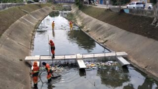 Ecobarreiras instaladas se tornam aliadas essenciais na contenção de resíduos durante o período de chuvas