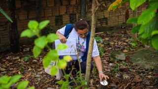 Prefeitura atualiza informe epidemiológico das arboviroses na capital