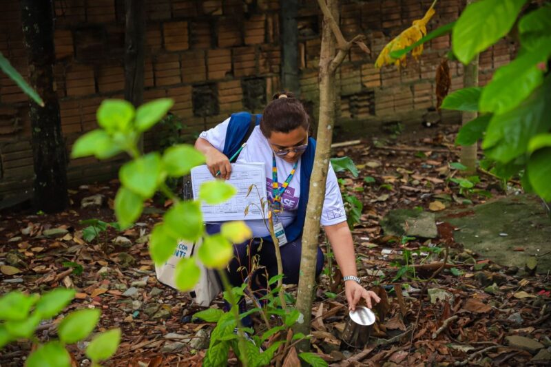 Prefeitura atualiza informe epidemiológico das arboviroses na capital