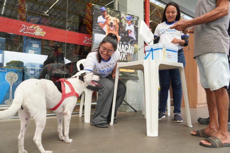 Prefeitura mobiliza tutores de cães e gatos para vacinação antirrábica em novos pontos de atendimento