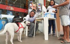 Prefeitura retoma oferta de vacina antirrábica em 10 supermercados na capital