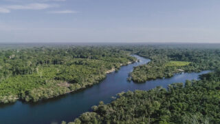 Floresta amazônica (Foto: Divulgação)