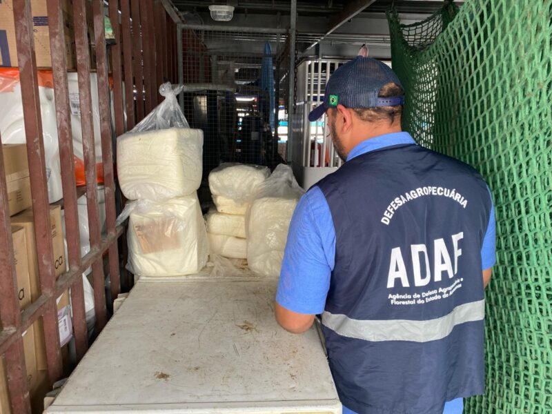 Sem certificação, Adaf confisca 85 quilos de queijo ilegal em Tefé