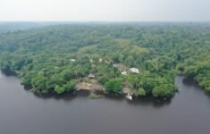 TCE-AM lança pesquisa para identificar ações sustentáveis