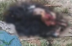 ‘Argentino’ é esquartejado e queimado por membros do CV