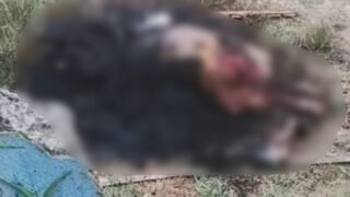 ‘Argentino’ é esquartejado e queimado por membros do CV