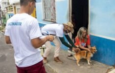 Prefeitura abre 300 vagas para vacinação antirrábica em Manaus