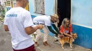 Prefeitura abre 300 vagas para vacinação antirrábica em Manaus