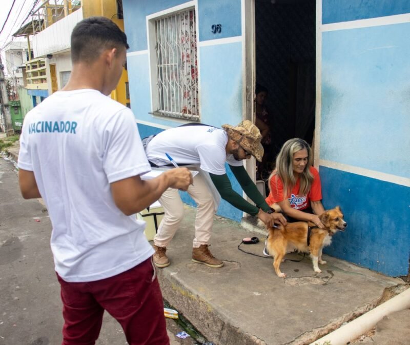 Prefeitura abre 300 vagas para vacinação antirrábica em Manaus