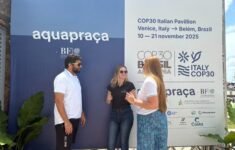 Amazônia no centro do debate: especialista destaca desafios e soluções para redução de emissões no Brasil