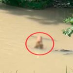 Corpo encontrado em igarapé (Foto: Divulgação)