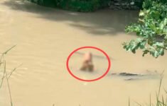 Corpo encontrado em igarapé (Foto: Divulgação)