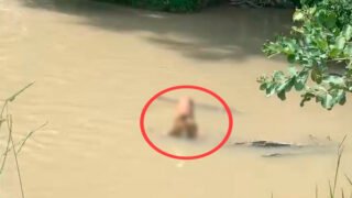 Corpo encontrado em igarapé (Foto: Divulgação)