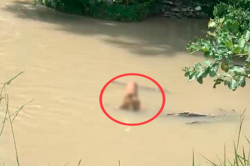 Corpo em decomposição é achado preso a tronco em igarapé