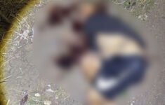 A vítima estava morta com tiros na cebeça (Foto: Divulgação)