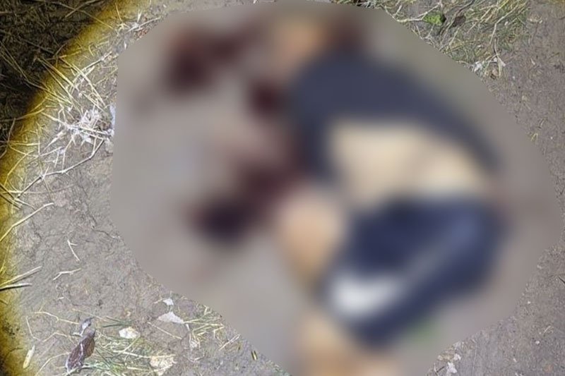A vítima estava morta com tiros na cebeça (Foto: Divulgação) Homem é achado morto com tiros na cabeça em ramal