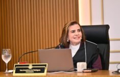 Presidente do TCE-AM articula cumprimento de decisão do STF