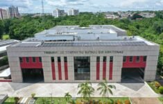 TCE-AM amplia fiscalização dos recursos do Carnaval