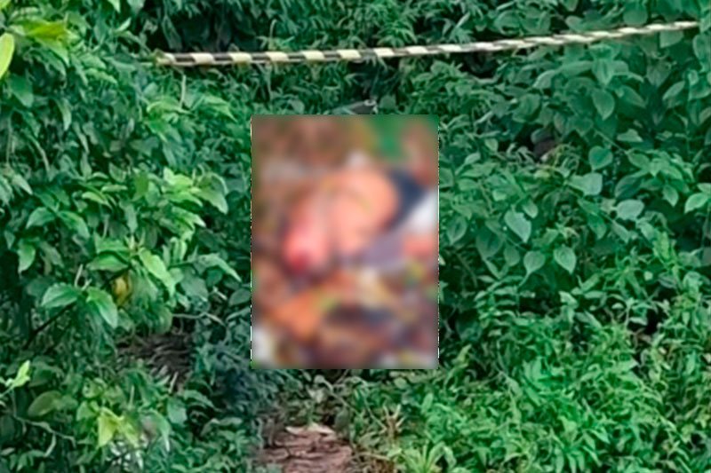 Vítima morta em área de mata (Foto: Divulgação)