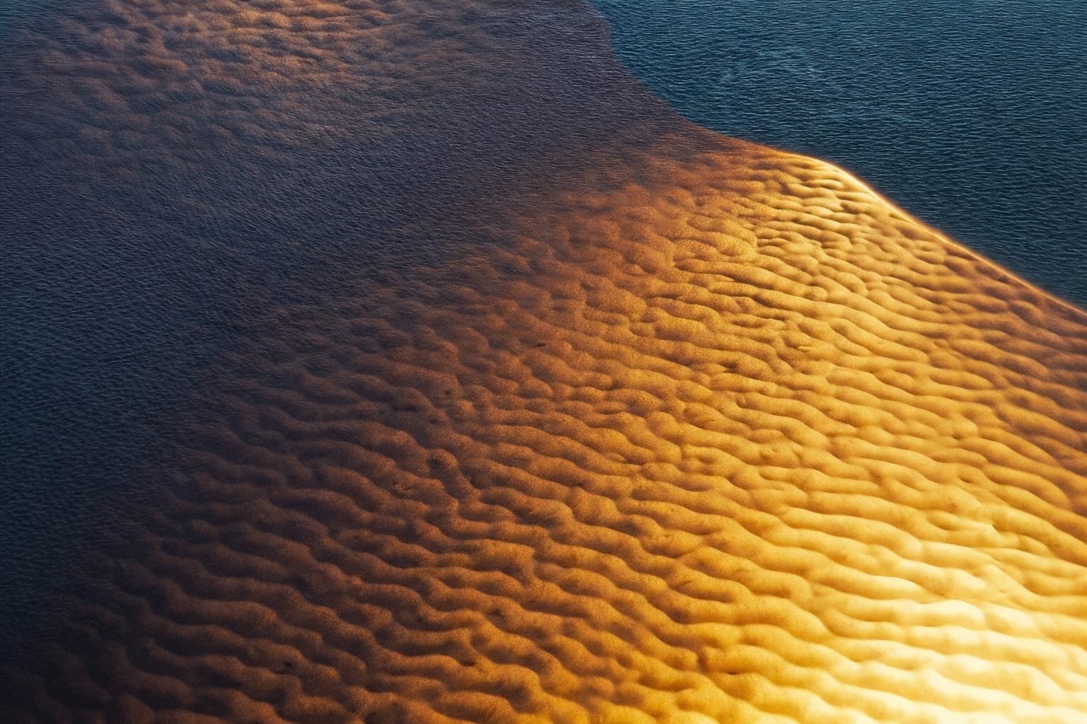 ‘Segredos Amazônicos’ reúne fotógrafos em exposição coletiva no Manauara Shopping