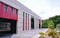 Sessão do Tribunal Pleno será presidida por Yara Amazônia Lins (Foto: Filipe Jazz/DICOM TCE-AM)