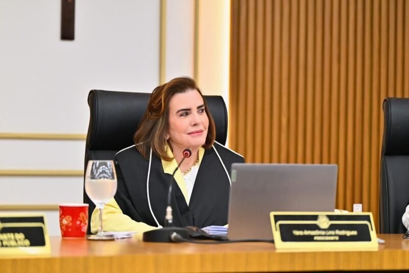 Presidente do TCE-AM intensifica análise de processos antigos