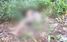 Homem é encontrado morto em área de mata no Planalto