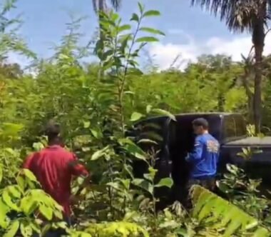 Empresário é sequestrado, baleado e roubado em Itapiranga