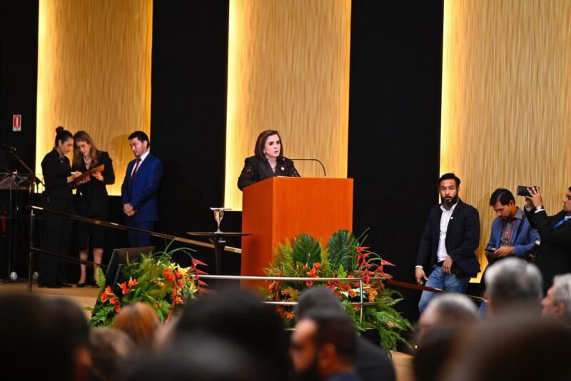 (Foto: Joel Arthus/TCE-AM)