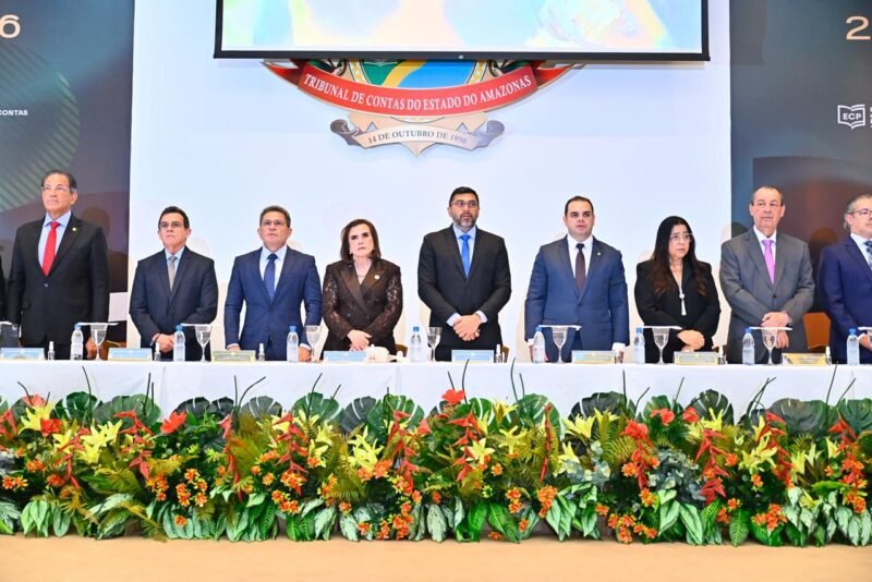 (Foto: Joel Arthus/TCE-AM)