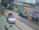 Atropelamento de cães revolta moradores em Manaus