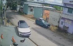 Atropelamento de cães revolta moradores em Manaus