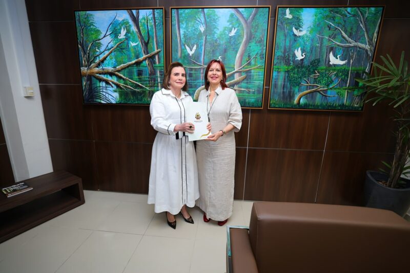 Yara Amazônia Lins no TRE-AM (Foto: Filipe Jazz/TCE-AM) TCE-AM entrega ao TRE lista com 417 registros de contas