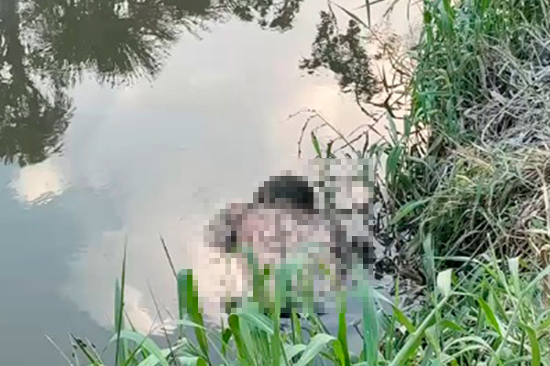 Homem é achado morto com as mãos amarradas em igarapé